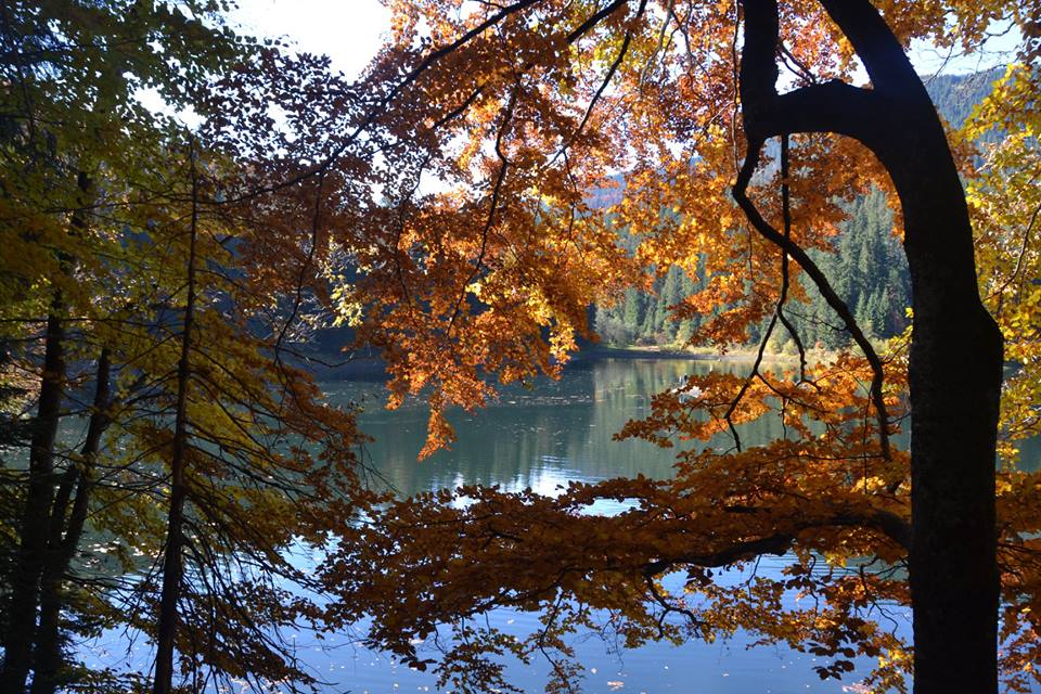 Відпустка в Закарпатті